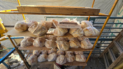 Cisterna d’acqua a Gaza