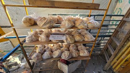 Cisterna d’acqua a Gaza